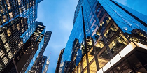 Business Services